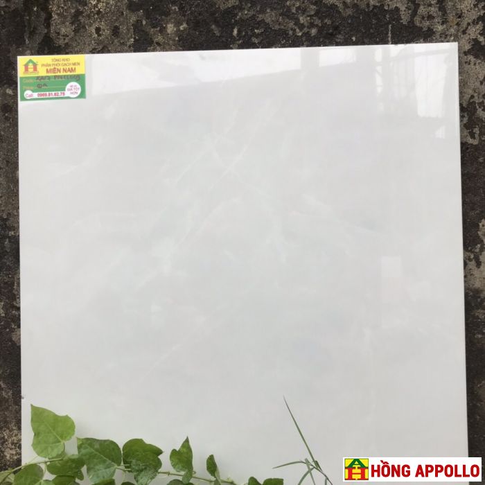 Gạch lát nền phòng ngủ sang trọng 60x60 - HỒNG APPOLLO